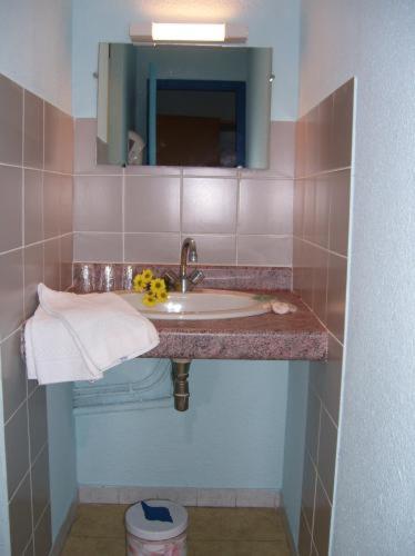 Citotel Hotel Le Commerce Sévérac-le-Château Rum bild